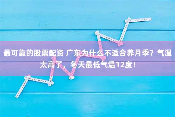 最可靠的股票配资 广东为什么不适合养月季？气温太高了，冬天最低气温12度！