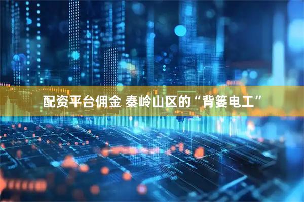配资平台佣金 秦岭山区的“背篓电工”
